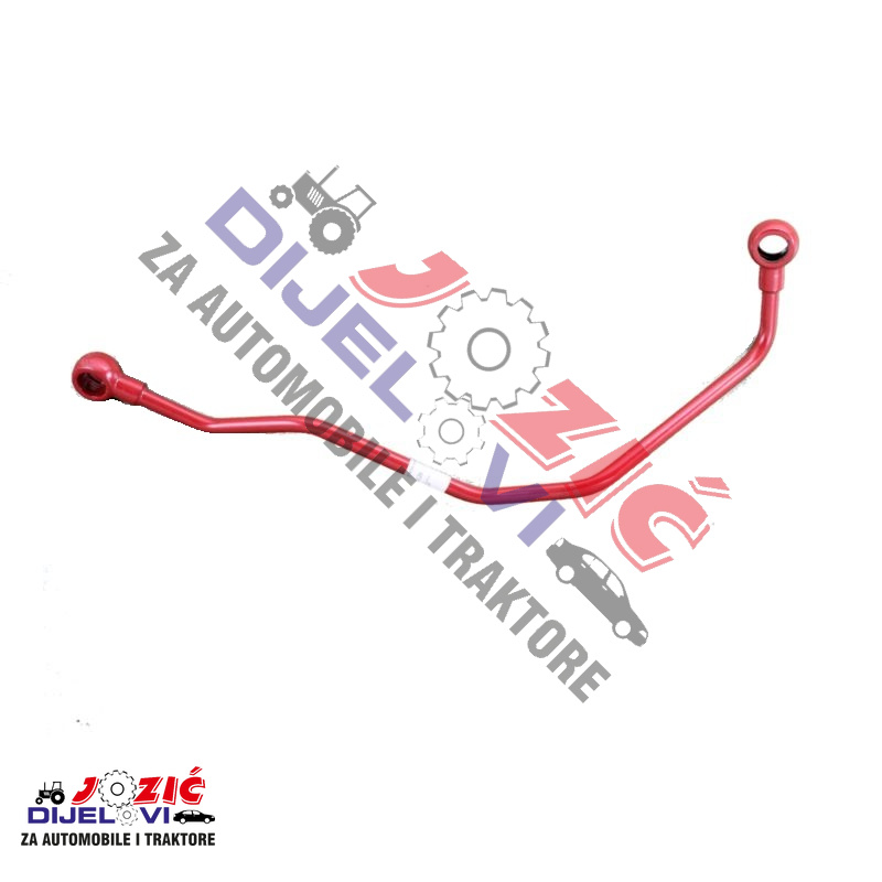 Daisy on the Ohoopee